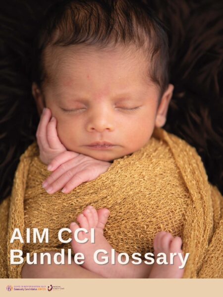 Final Copy of AIM CCI Bundle Glossary (002)_Page_1 Final Copy of AIM CCI Bundle Glossary (002)_Page_1